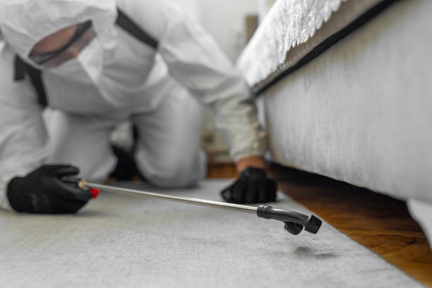 Professional Termite Control technician working in Clarendon County County, SC